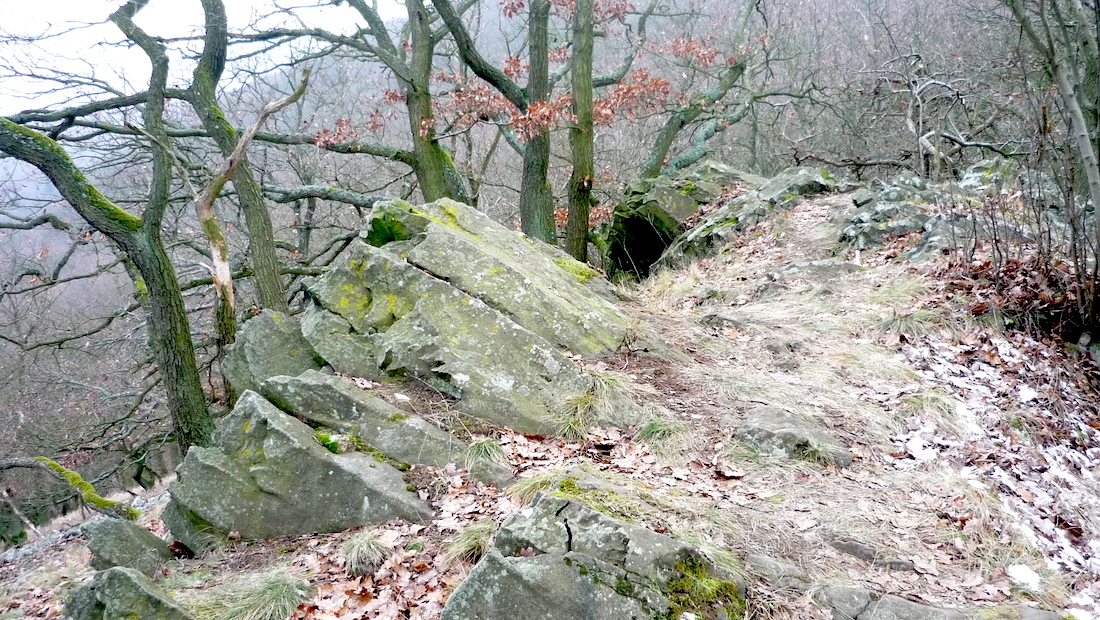 Třtín (601 m), třetí vrchol solanského hřebene.